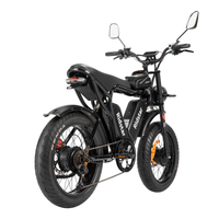Ridstar Q20 Pro Dual-Motor Electric Bike lighting and frame detail