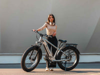 Velowave Ranger 3.0 electric bike product view with rear rack