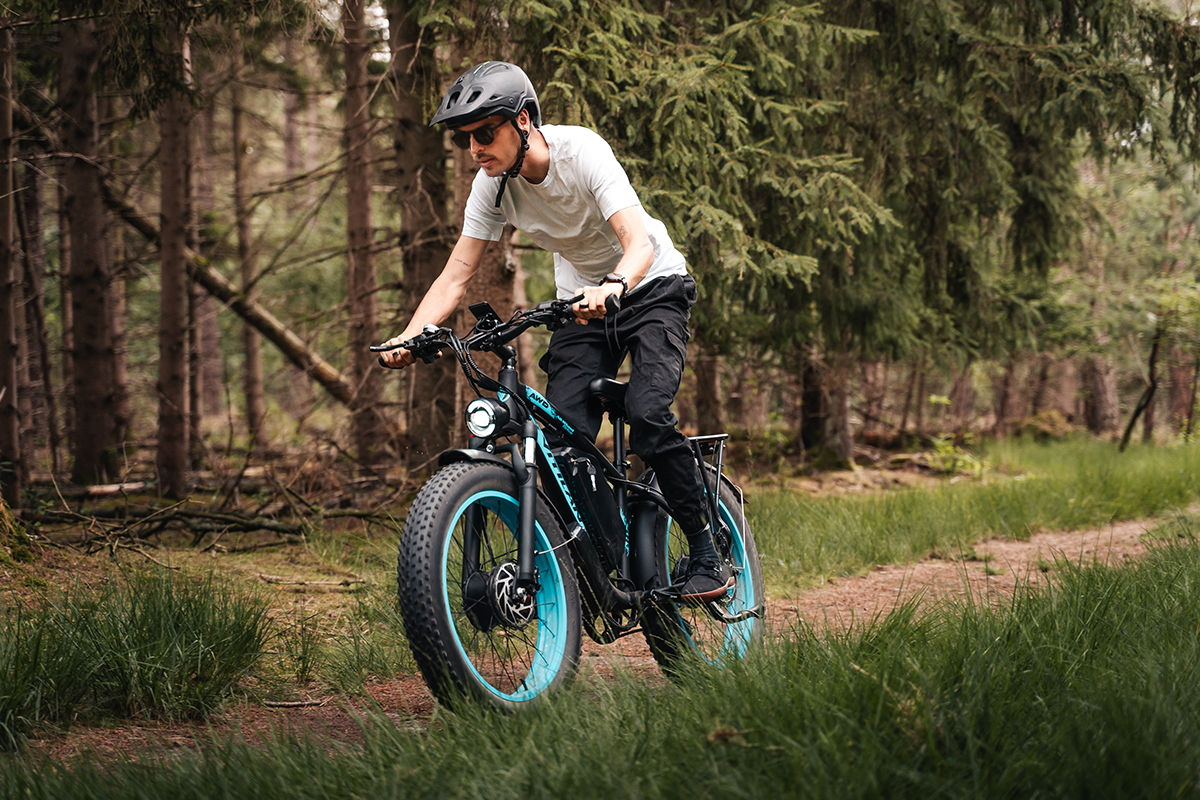 Vitilan H5 electric bike, official product image 7