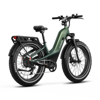 Rear three-quarter view of the alpine green Nomad Pro with rack, fenders, and long-range battery.
