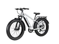 Velowave Ranger 3.0 electric bike rear three-quarter view with rack