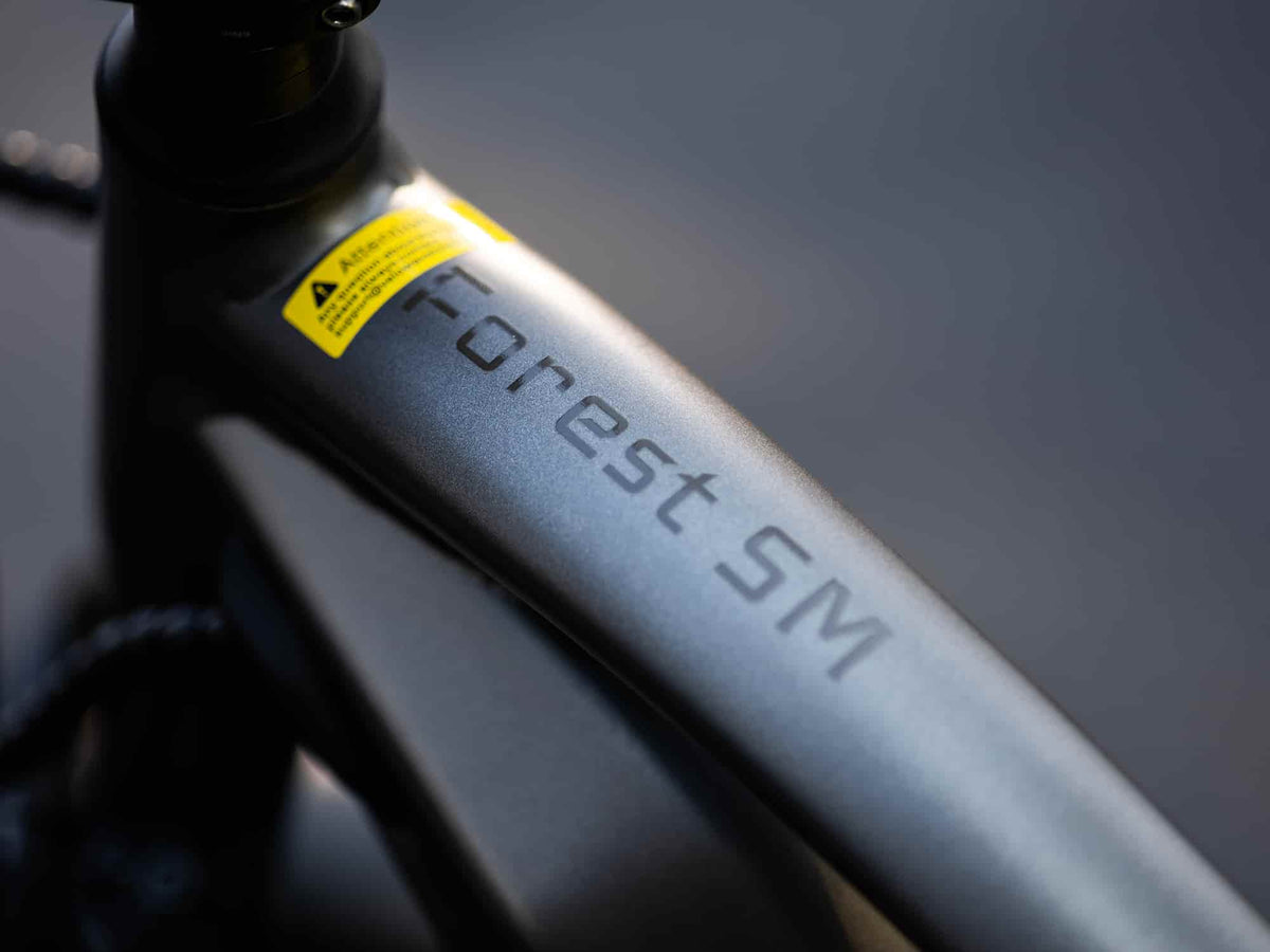 Velowave Forest SM MTB detailed product view, gallery angle 11