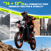 Freeboy Y88 electric dirt bike, official or supplier product image 4