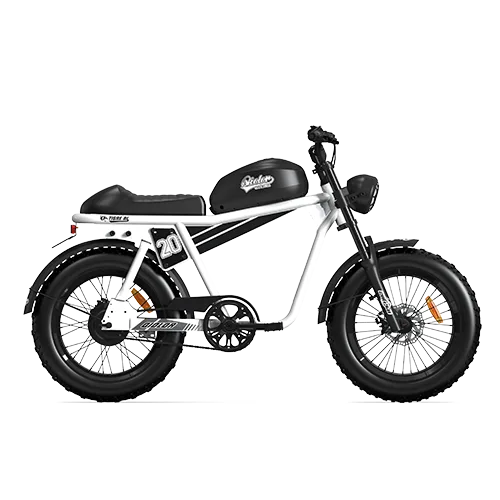 QIOLOR Tiger RL Electric Cruiser Bike
