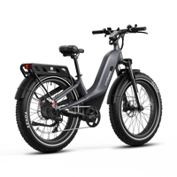 Rear three-quarter view of the graphite grey Nomad Pro with rack, fender, battery, and 26 by 4 inch tires.