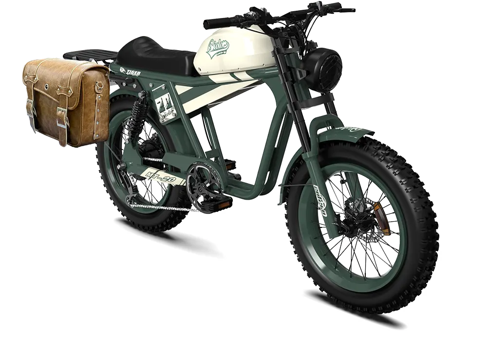 QIOLOR Tiger RE retro electric bike rear shock detail