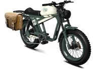 QIOLOR Tiger RE retro electric bike rear shock detail