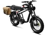 Black QIOLOR Tiger Plus three-quarter view with rear rack and pannier cargo setup