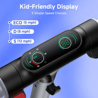 isinwheel S4 display showing 5, 8, and 12 mph speed choices