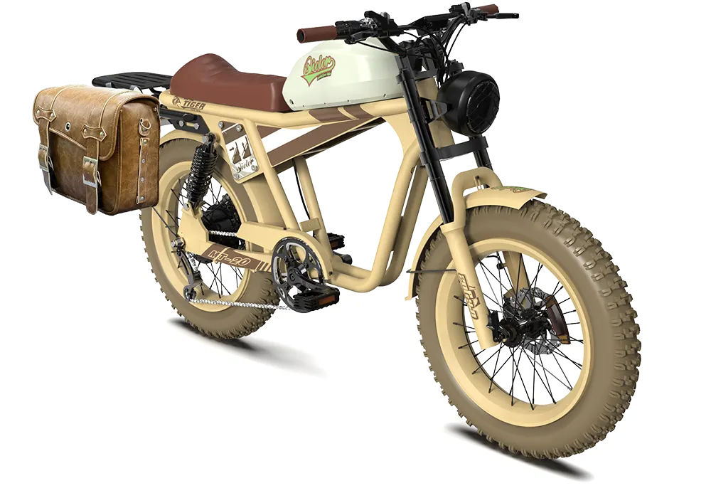 QIOLOR Tiger RE retro electric bike brake and wheel detail