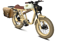 QIOLOR Tiger RE retro electric bike brake and wheel detail