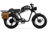 QIOLOR Tiger RE retro electric bike hydraulic suspension detail