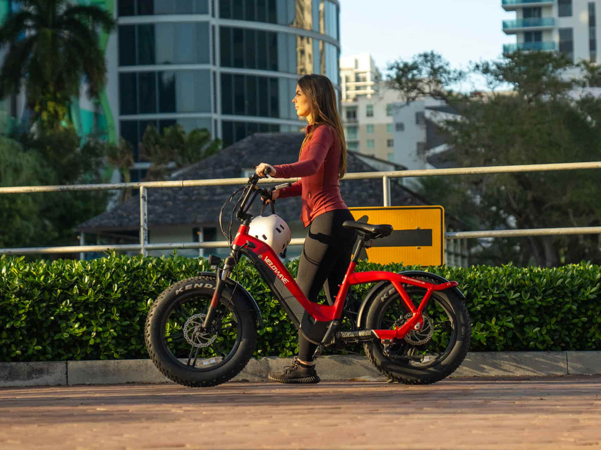 Velowave Pony Compact Step-Thru electric bike product view 5