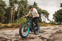Vitilan H5 electric bike, official product image 5