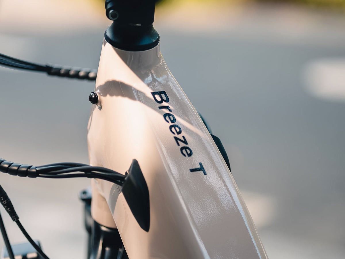 Close view of Beige Velowave Breeze T head tube and cable routing