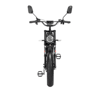 Ridstar Q20 Pro Dual-Motor Electric Bike cockpit and display
