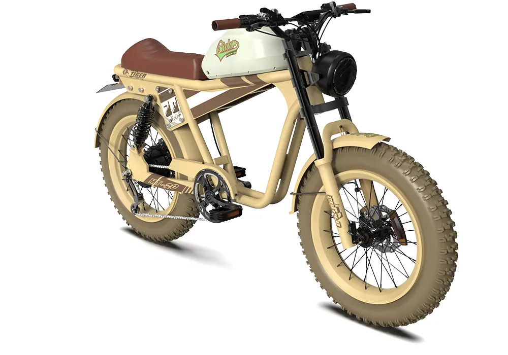 QIOLOR Tiger RE retro electric bike frame and battery detail