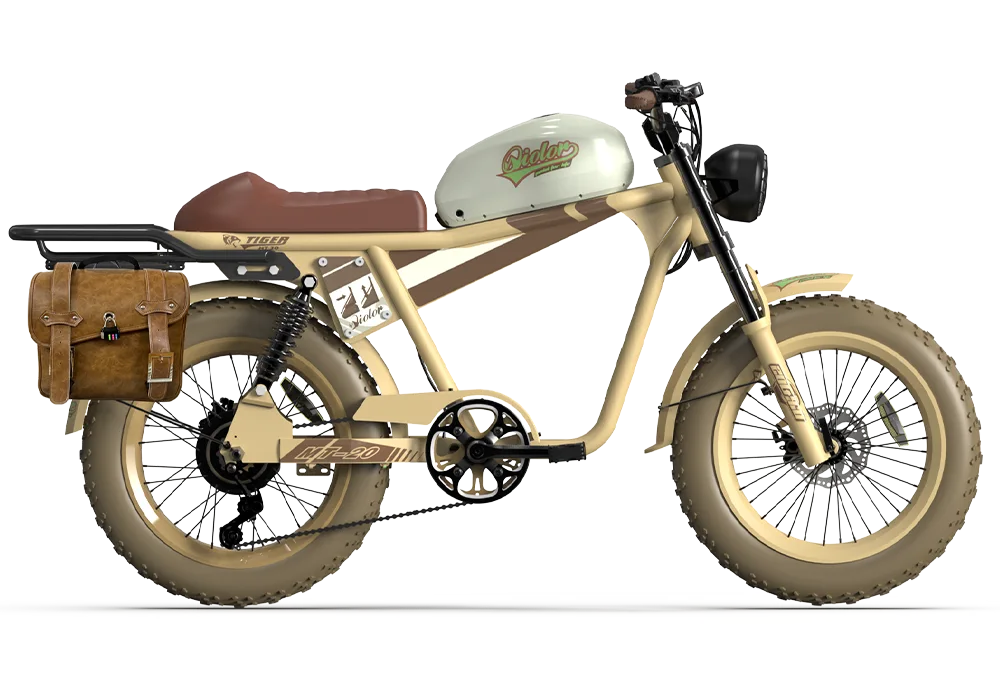 QIOLOR Tiger RE retro electric bike 20 by 4 inch fat tire