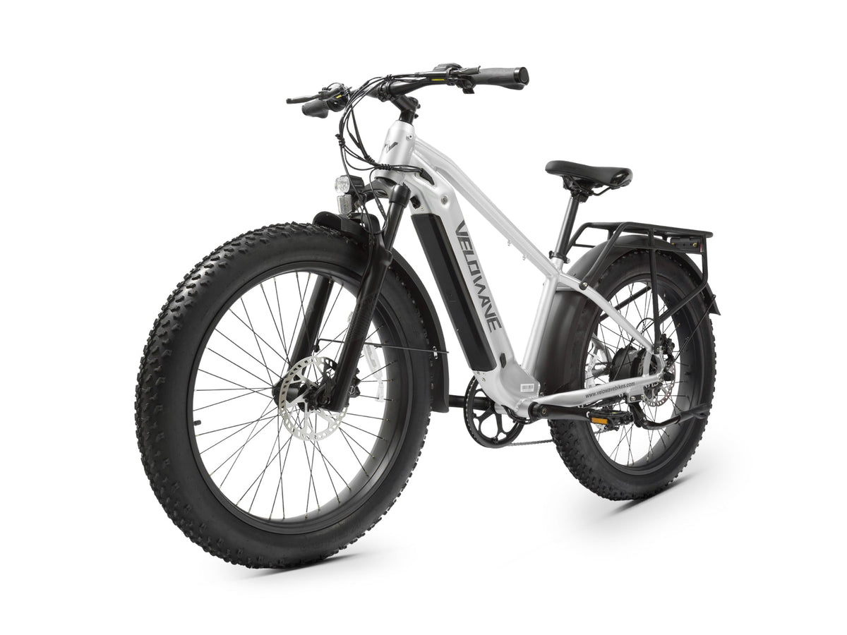 Velowave Ranger 2.0 rear hub motor, cassette and hydraulic disc brake