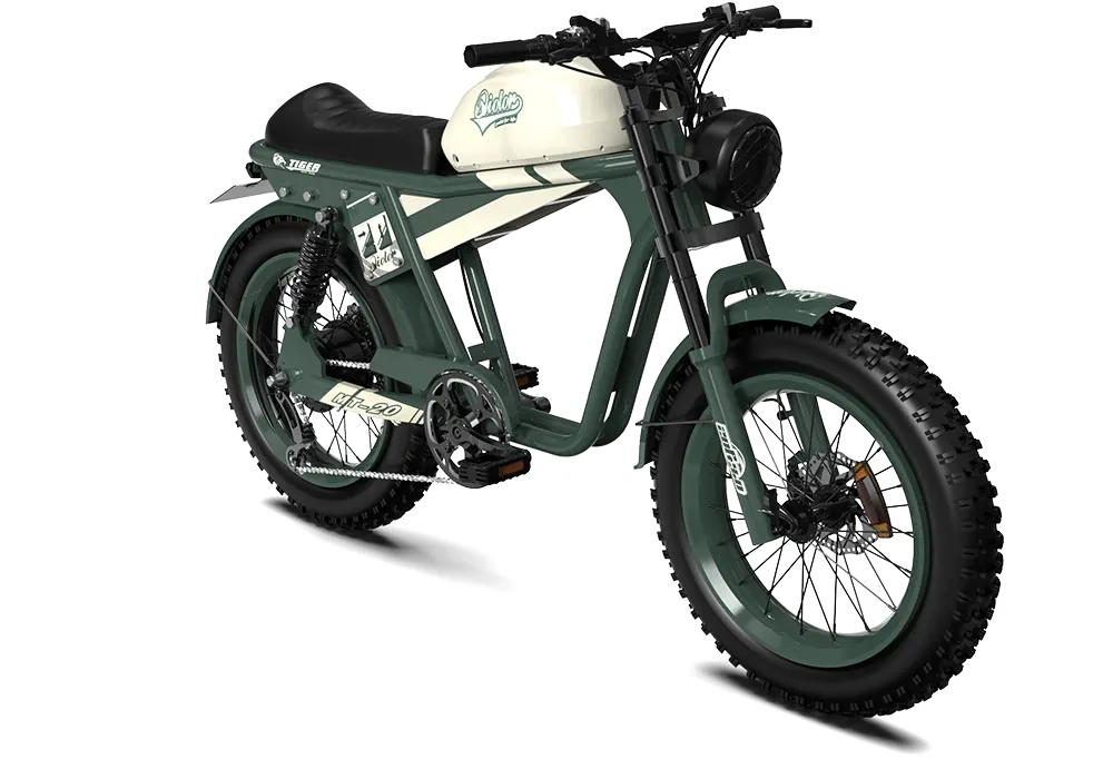 QIOLOR Tiger RE retro electric bike rear rack detail