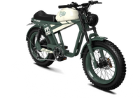 QIOLOR Tiger RE retro electric bike rear rack detail