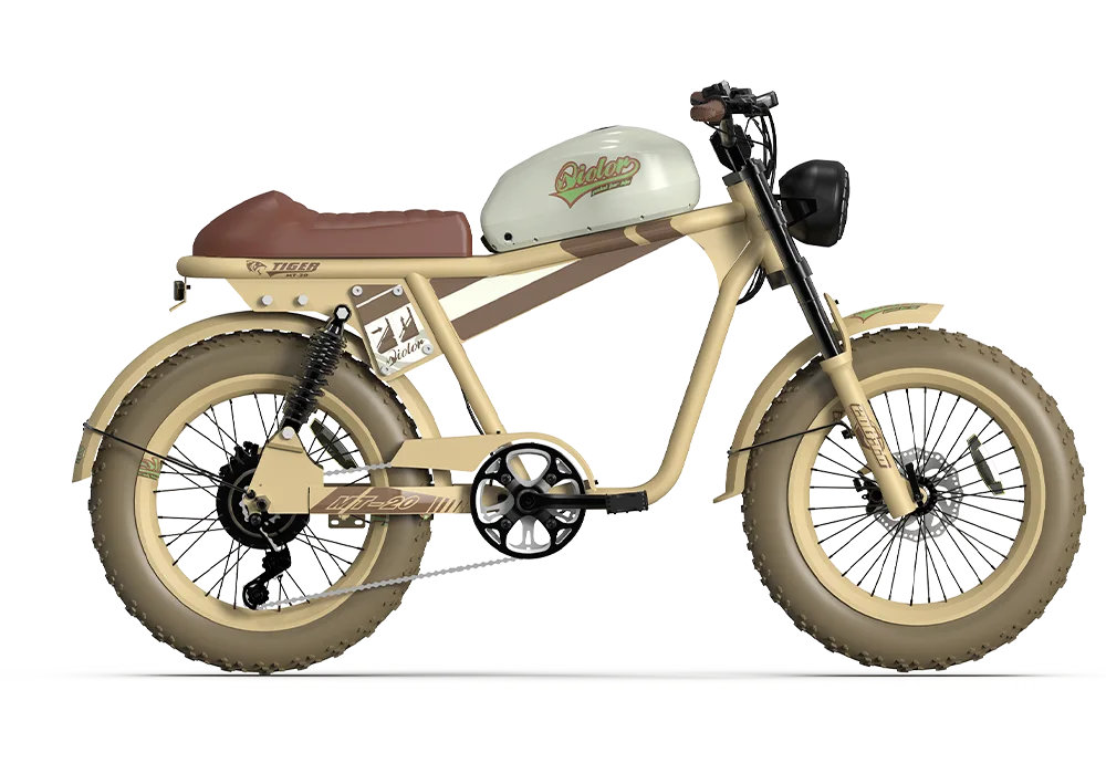 QIOLOR Tiger RE retro electric bike front fork and wide tire