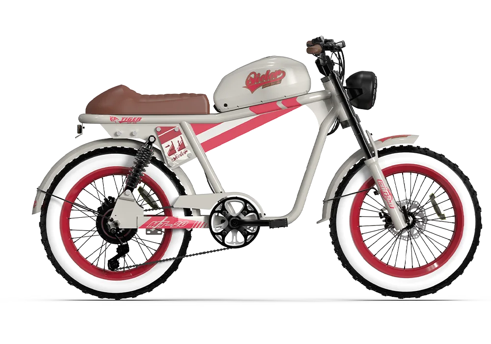 QIOLOR Tiger RE retro electric bike rear cargo accessory