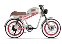 QIOLOR Tiger RE retro electric bike rear cargo accessory