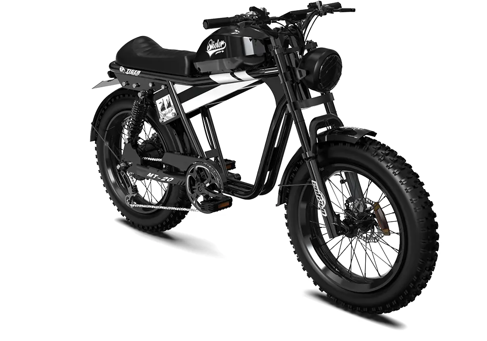 QIOLOR Tiger RE retro electric bike color option detail