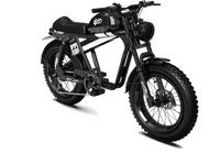 QIOLOR Tiger RE retro electric bike color option detail