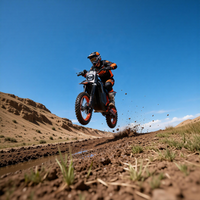 Freeboy Y88 electric dirt bike, official or supplier product image 8