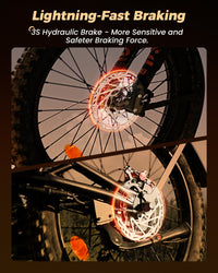isinwheel R8 hydraulic braking graphic with front and rear disc brake rotors shown in low light.