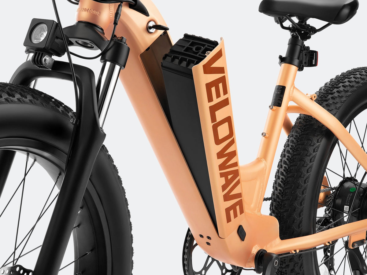Velowave Rover Step-Thru rear-rack and fender detail