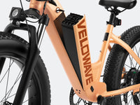 Velowave Rover Step-Thru rear-rack and fender detail