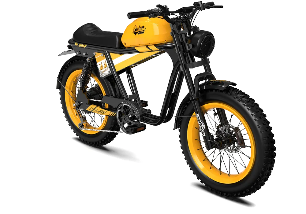 QIOLOR Tiger RE retro electric bike complete product view