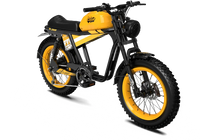 QIOLOR Tiger RE retro electric bike complete product view