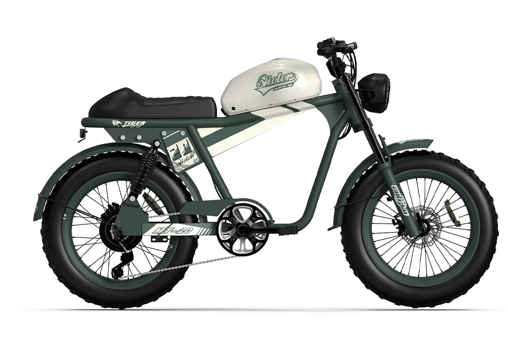 QIOLOR Tiger RE black electric bike side profile