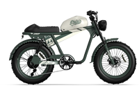 QIOLOR Tiger RE black electric bike side profile