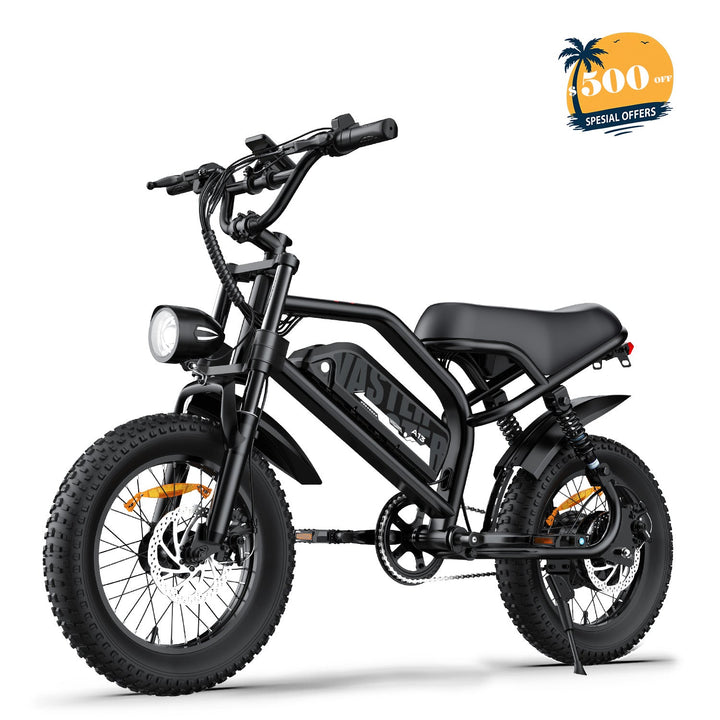 AVDL A13 16-Inch Fat Tire Electric Bike