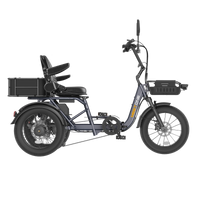 Gray Meet One Breeze Pro 2.0 side view showing the rear cargo basket, backrest seat, step-thru frame, and three-wheel footprint.