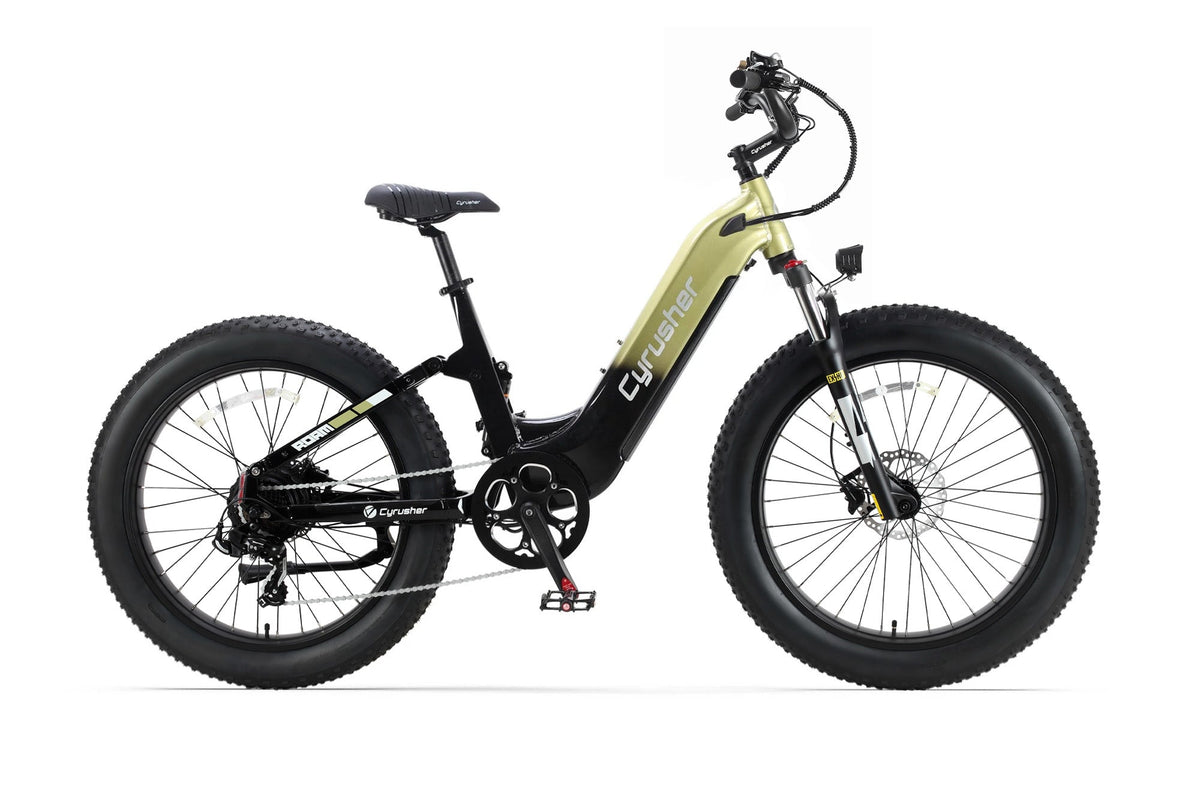 Cyrusher Roam official product image 13