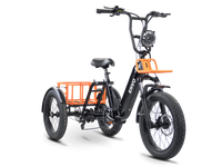 ENVO Flex Trike shown from the left side with its step-through frame and rear axle.