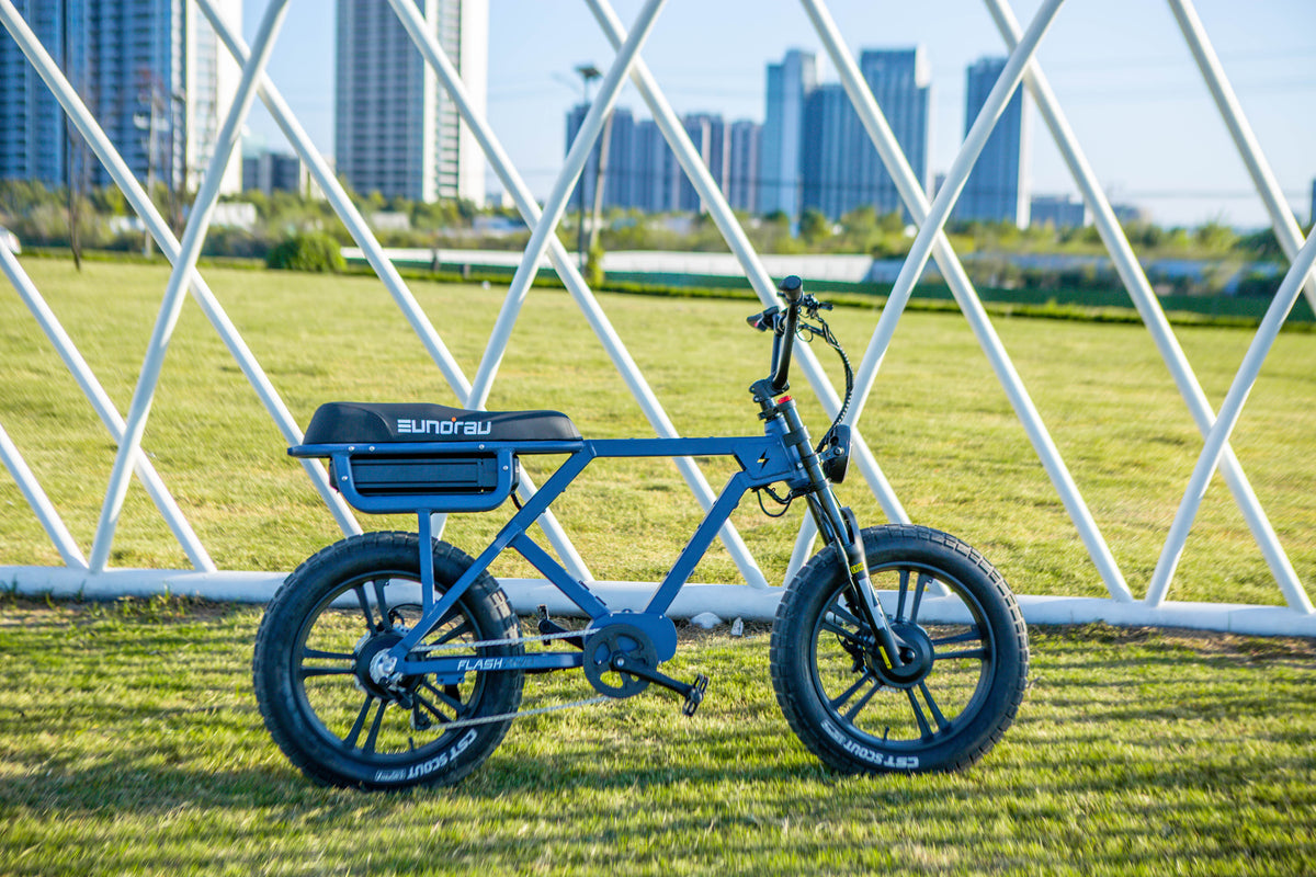 EUNORAU FLASH LITE 2.0 hardtail e-bike outdoors on a green lawn
