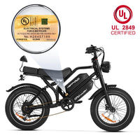 HappyRun G70 UL 2849 Certified Dual-Battery Cargo Electric Bike, official HappyRun product image 4