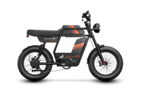 Riding'times GT33 Cargo Electric Bike official Riding'times product image 19