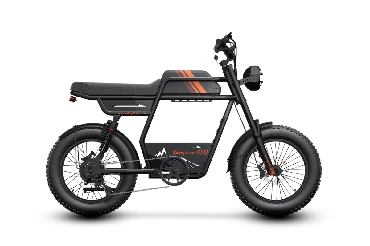 Riding'times GT33 Cargo Electric Bike official Riding'times product image 1