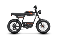 Riding'times GT33 Cargo Electric Bike official Riding'times product image 1