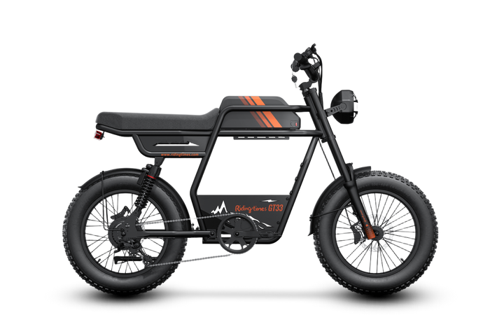 Riding'times GT33 Cargo Electric Bike