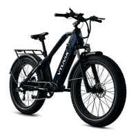 VTUVIA Gemini electric bike frame detail with dual batteries