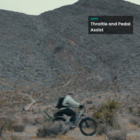 VTUVIA Gemini all-terrain electric bike outdoors with 1000W motor and wide tires